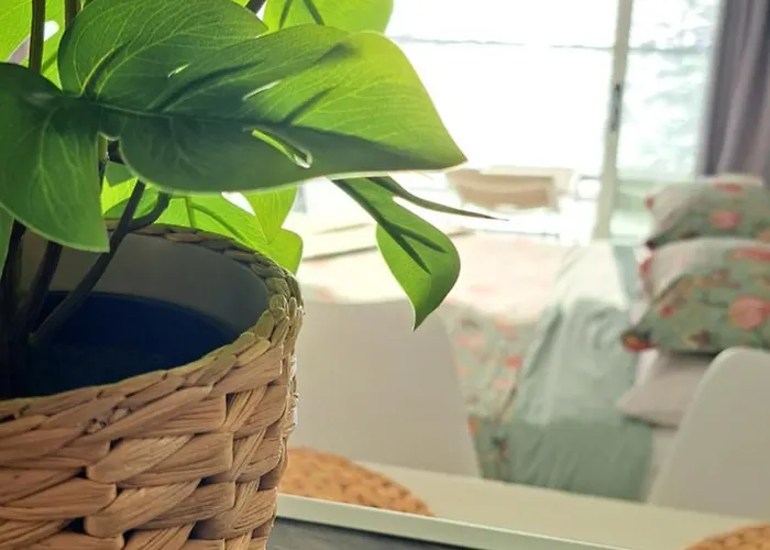 Slow Boat Experience *